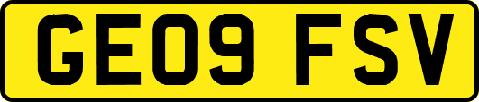 GE09FSV