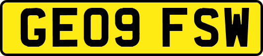 GE09FSW