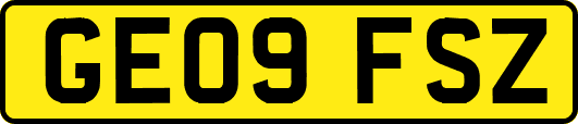 GE09FSZ
