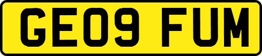 GE09FUM