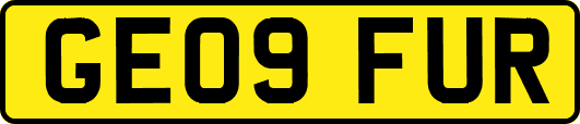 GE09FUR