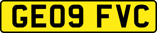 GE09FVC