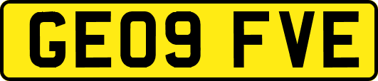 GE09FVE