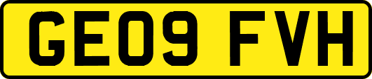 GE09FVH