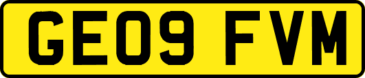 GE09FVM