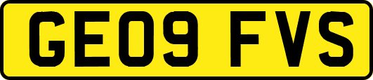 GE09FVS