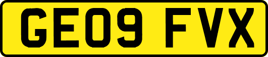 GE09FVX