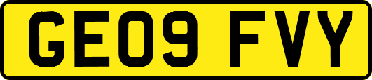GE09FVY