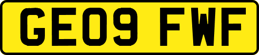 GE09FWF