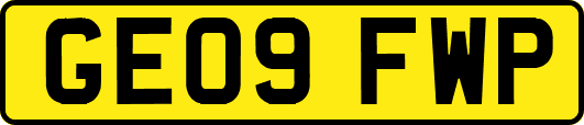 GE09FWP