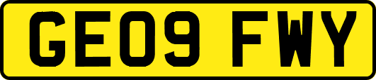 GE09FWY
