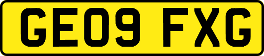 GE09FXG