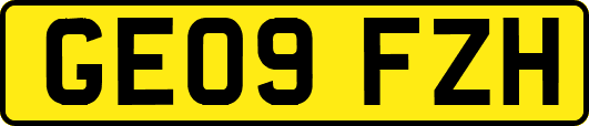 GE09FZH