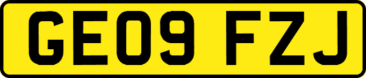 GE09FZJ