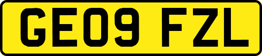 GE09FZL