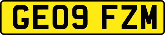 GE09FZM