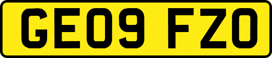 GE09FZO