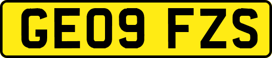 GE09FZS