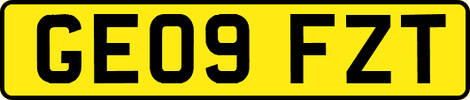 GE09FZT