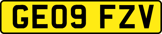 GE09FZV