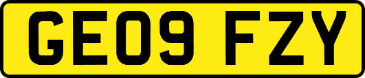 GE09FZY