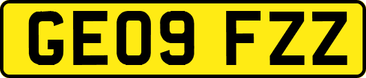 GE09FZZ