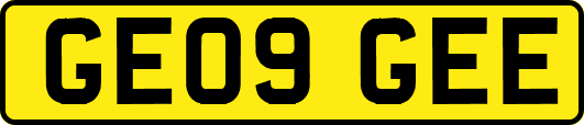 GE09GEE
