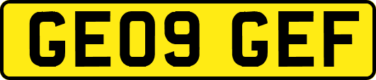 GE09GEF