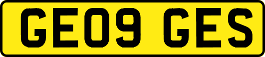GE09GES