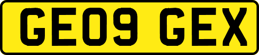 GE09GEX