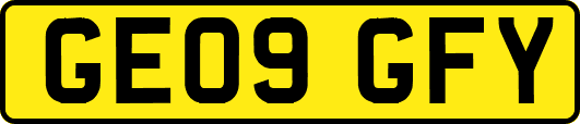 GE09GFY