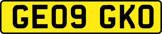 GE09GKO