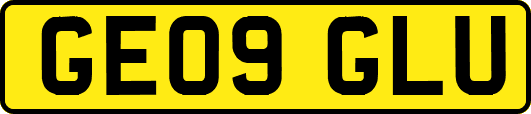 GE09GLU