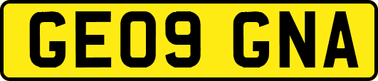 GE09GNA