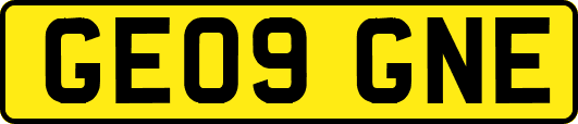 GE09GNE