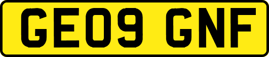 GE09GNF