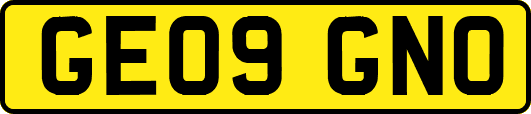 GE09GNO