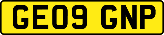 GE09GNP