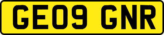 GE09GNR
