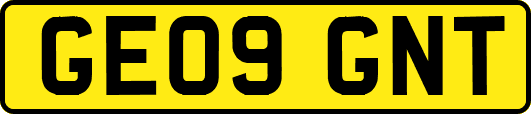 GE09GNT