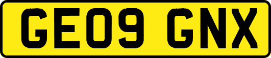 GE09GNX
