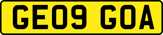 GE09GOA