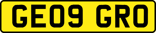 GE09GRO