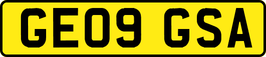 GE09GSA