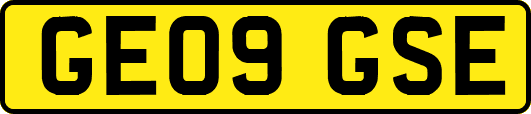 GE09GSE