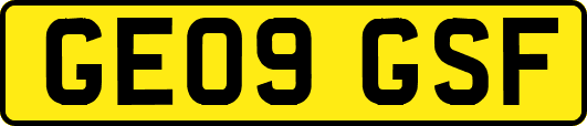 GE09GSF