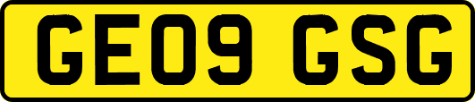 GE09GSG