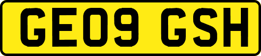 GE09GSH