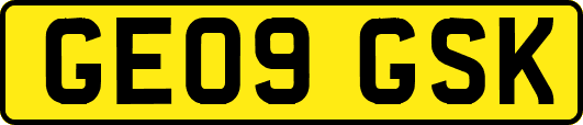GE09GSK