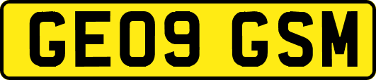 GE09GSM